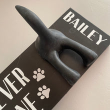 Load image into Gallery viewer, You’ll Never Walk Alone Dog Lead Hook With Name