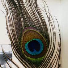 Load image into Gallery viewer, Personalised Peacock Feather Photo Frame