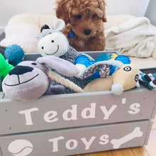 Load image into Gallery viewer, painted wooden crate personalised for pet toys